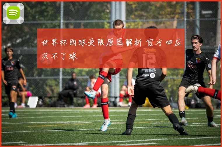 世界杯购球受限原因解析 官方回应买不了球
