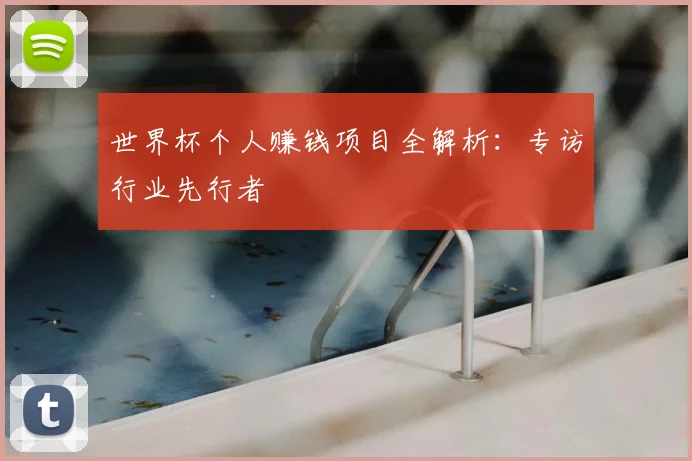 世界杯个人赚钱项目全解析：专访行业先行者