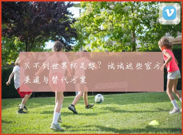 买不到世界杯足球？试试这些官方渠道与替代方案