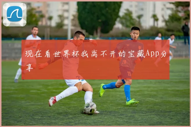 现在看世界杯我离不开的宝藏App分享