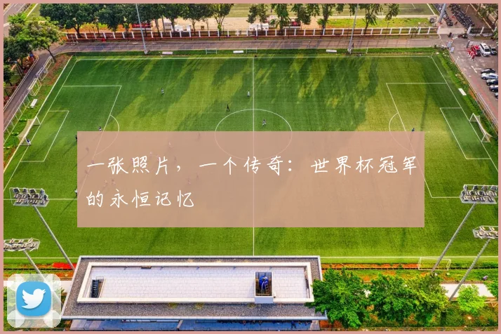 一张照片，一个传奇：世界杯冠军的永恒记忆