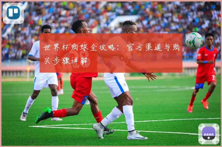 世界杯购球全攻略：官方渠道与购买步骤详解