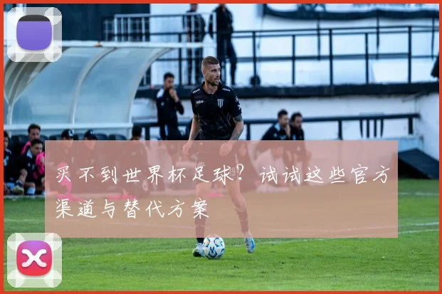 买不到世界杯足球？试试这些官方渠道与替代方案