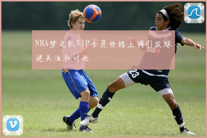 NBA梦之队VIP会员价格上调引发球迷关注和讨论
